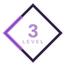 Level 3